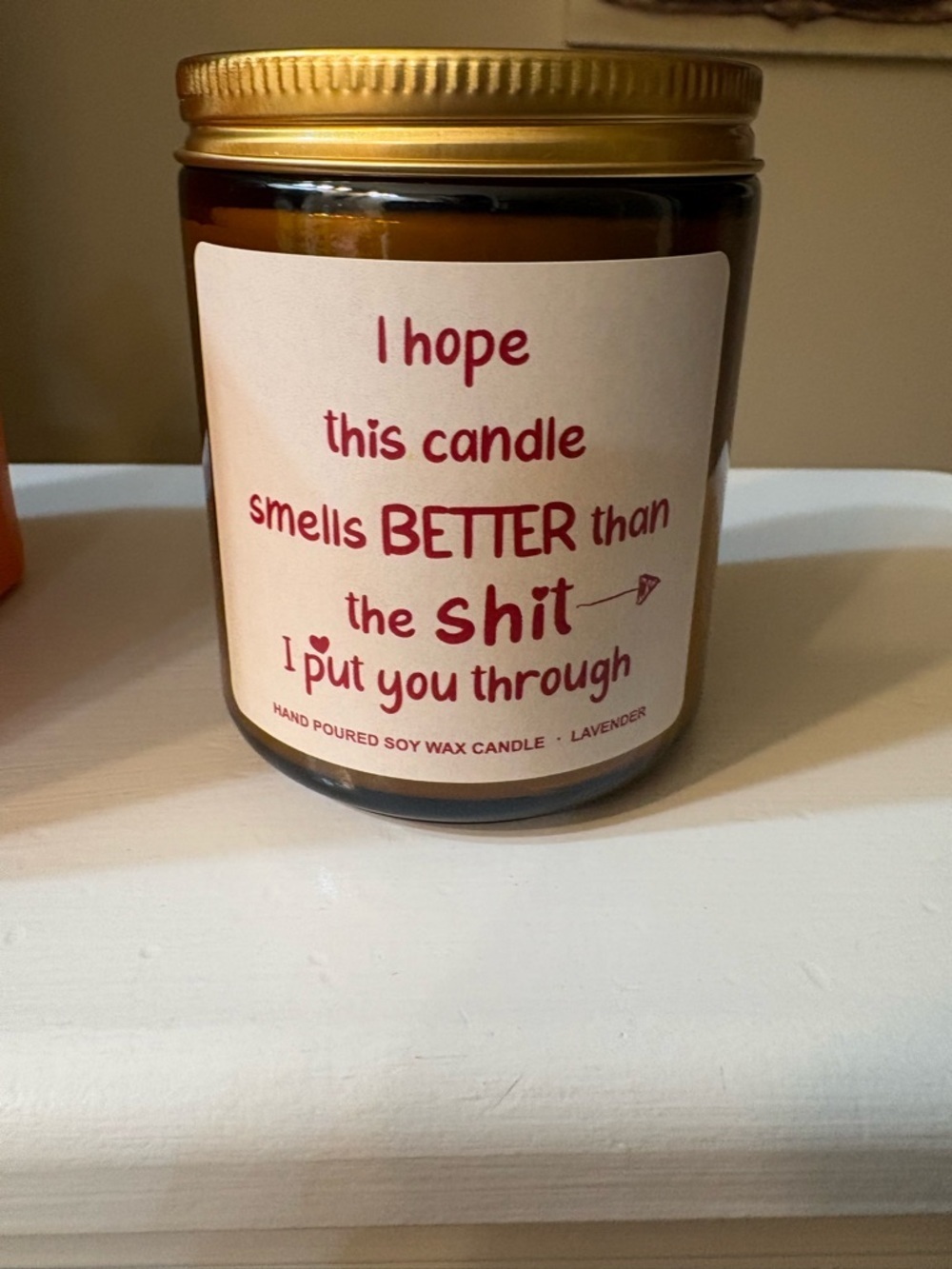 🕯️S**t I Put You Through Soy Wax Candle